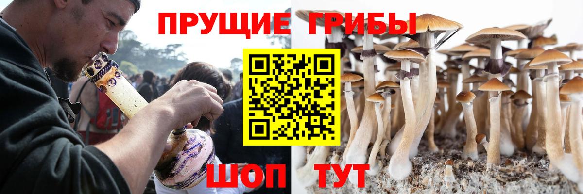 Псилоцибиновые грибы Magic Shrooms  Псилоцибиновые грибы мухоморы  Вход с VPN  Назарово 